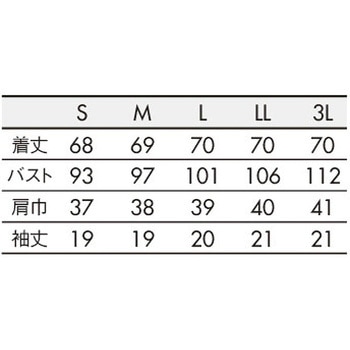 スクラブ レディス 半袖 住商モンブラン