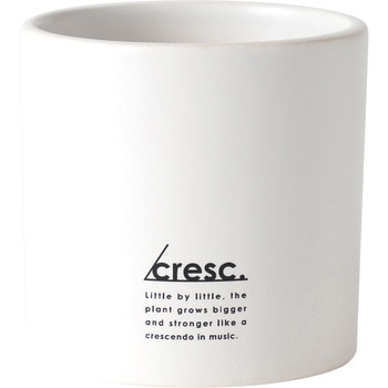 cresc． サボテン栽培キット WHITE ノルコーポレーション