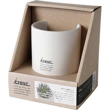 cresc． サボテン栽培キット WHITE ノルコーポレーション