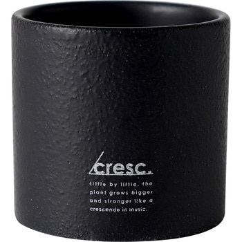cresc． サボテン栽培キット BLACK ノルコーポレーション