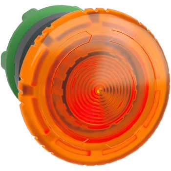 ZB5AW753 ���C�����X�X�C�b�` �v���X�`�b�N�w�b�h Pro-face(�V���i�C�_�[�G���N�g���b�N) ���a40mm  ZB5AW753 17152741