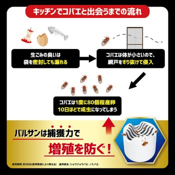 バルサン コバエ2000 バルサン