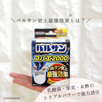 バルサン コバエ2000 バルサン