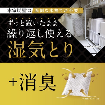 本家炭屋 調湿・消臭木炭 LEC(レック)