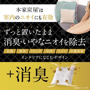本家炭屋 調湿・消臭木炭 LEC(レック)