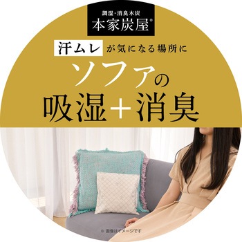 本家炭屋 調湿・消臭木炭 LEC(レック)