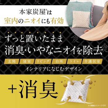 本家炭屋 調湿・消臭木炭 LEC(レック)