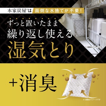 本家炭屋 調湿・消臭木炭 LEC(レック)