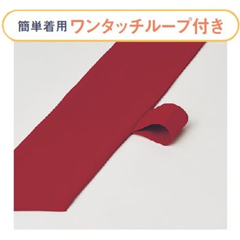 [非フッ素]タイ サーヴォ(サンペックスイスト)