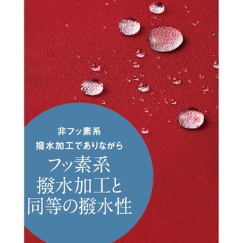 [非フッ素]タイ サーヴォ(サンペックスイスト)