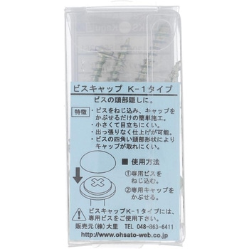 ビスキャップ K-1専用ビス (鉄/ユニクロめっき) - 大里
