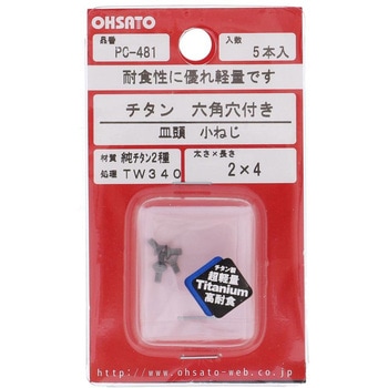 皿六角穴小ねじ (純チタン2種)(パック品) 大里