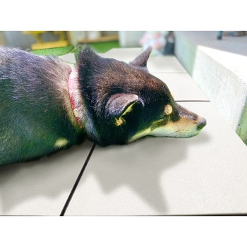 ジョイント遮熱パネル 明和グラビア