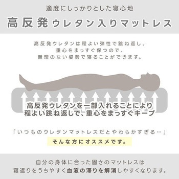 電動高反発マットレスベッド シングルサイズ Vita