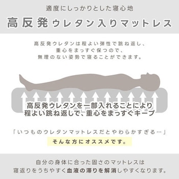 電動高反発マットレスベッド シングルサイズ Vita