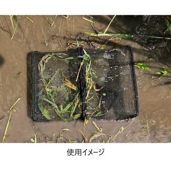 ザリガニ・タニシ全員集合! あみのエーワン