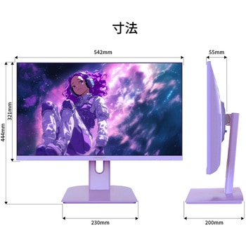 ゲーミング液晶ディスプレイ 23.8型/1920×1080/HDMI×1、VGA×1/パープル/スピーカー有/2年保証 JAPANNEXT
