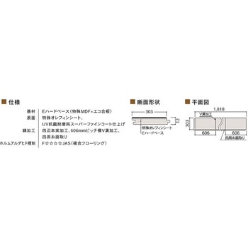 セフィラstone Bulls(ブルズ)