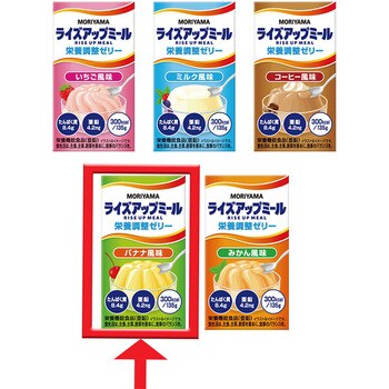 MORIYAMAライズアップミール 栄養調整ゼリー バナナ風味 ライズアップミール