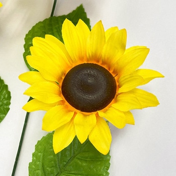 ひまわりスプレー - アルファ[販促]