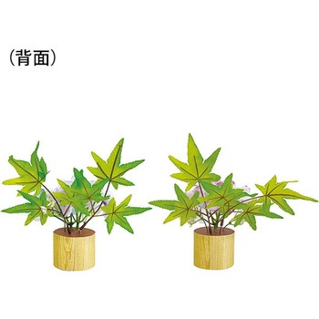 アジサイ楓ペアスタンド アルファ(販促)