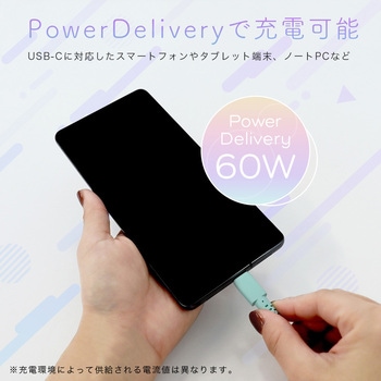 グラデーションケーブル 急速充電 データ転送対応 USB-C to USB-C 1m アクアカラー MOTTERU