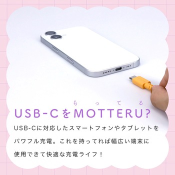 バイカラーケーブル 急速充電 データ転送対応 USB-C to USB-C 0.5m ピンクライラック MOTTERU