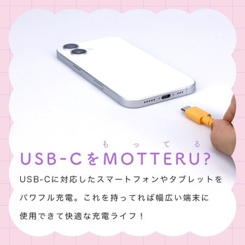 バイカラーケーブル PD60W対応 USB-AC」to USB-C 1m オレンジソーダ MOTTERU