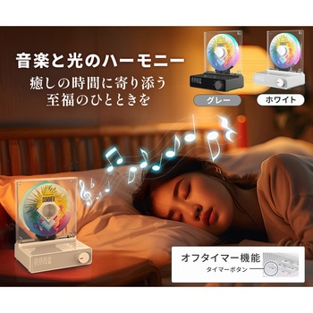 縦型CDプレーヤー ダイニチ電子