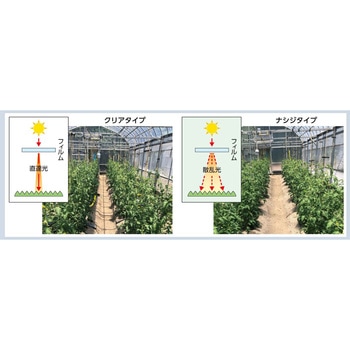 エフクリーン 自然光ナシジ AGCグリーンテック