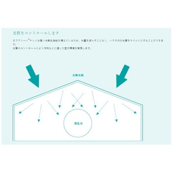 エフクリーン 自然光ナシジ AGCグリーンテック