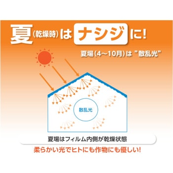 エフクリーン 自然光ナシジ AGCグリーンテック