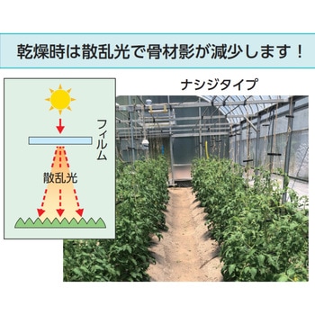 エフクリーン 自然光ナシジ AGCグリーンテック