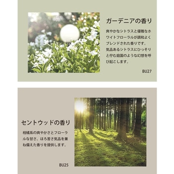 Grasse Leather Stick-Scent Wood セイワ
