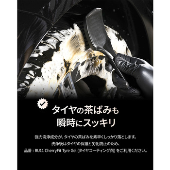 LUNATIC POLISH-Wheel & Tyre Hybrid Cleaner セイワ