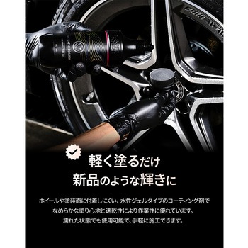 LUNATIC POLISH-CherryFit Tyre Gel セイワ