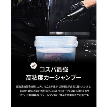 LUNATIC POLISH-CherryFit Car Shampoo セイワ