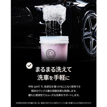 LUNATIC POLISH-CherryFit Car Shampoo セイワ