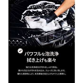 LUNATIC POLISH-CherryFit Car Shampoo セイワ