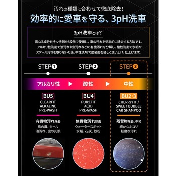 LUNATIC POLISH-CherryFit Car Shampoo セイワ