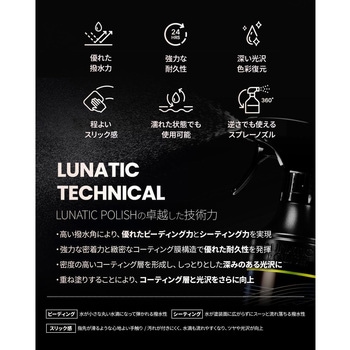 LUNATIC POLISH-De LunarWax セイワ