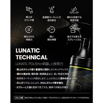 LUNATIC POLISH-SleekFall Wax セイワ