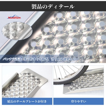 バイクラダーレール バイク アルミブリッジ Ruedamann