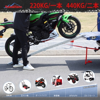 バイクスロープ スチール製 2本セット Ruedamann