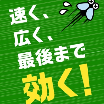 アース虫よけネットEX あみ戸用 アース製薬