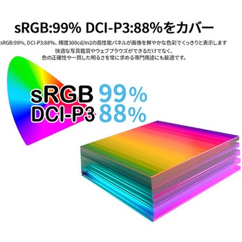 ゲーミング液晶ディスプレイ 39型/2560×1440/HDMI×1、DP×1、USB Type-C×1/ブラック/スピーカー無/2年保証 JAPANNEXT