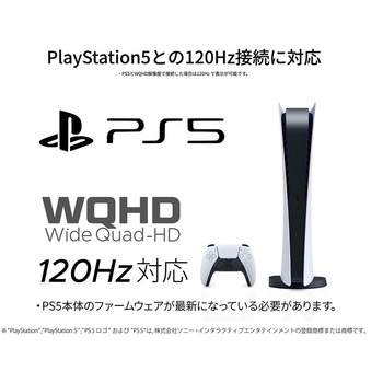 ゲーミング液晶ディスプレイ 39型/2560×1440/HDMI×1、DP×1、USB Type-C×1/ブラック/スピーカー無/2年保証 JAPANNEXT