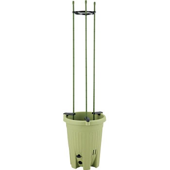 �ی^240 �y�X�؉� �x���p�t���[���t �A�b�v���E�F�A�[ 17573203