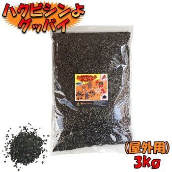 ハクビシンよグッバイ 国分グリーンファーム
