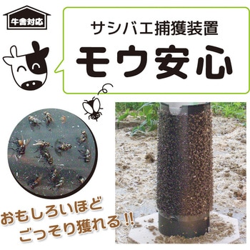 モウ安心 サンパック